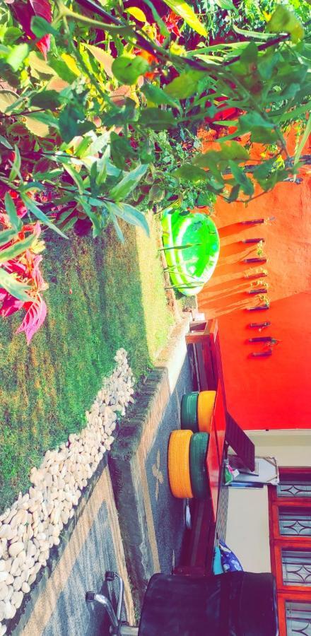 Bunk'D Backpackers Villa Jimbaran  Luaran gambar